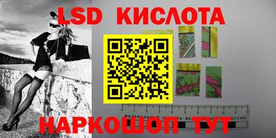 прущие грибы Славгород