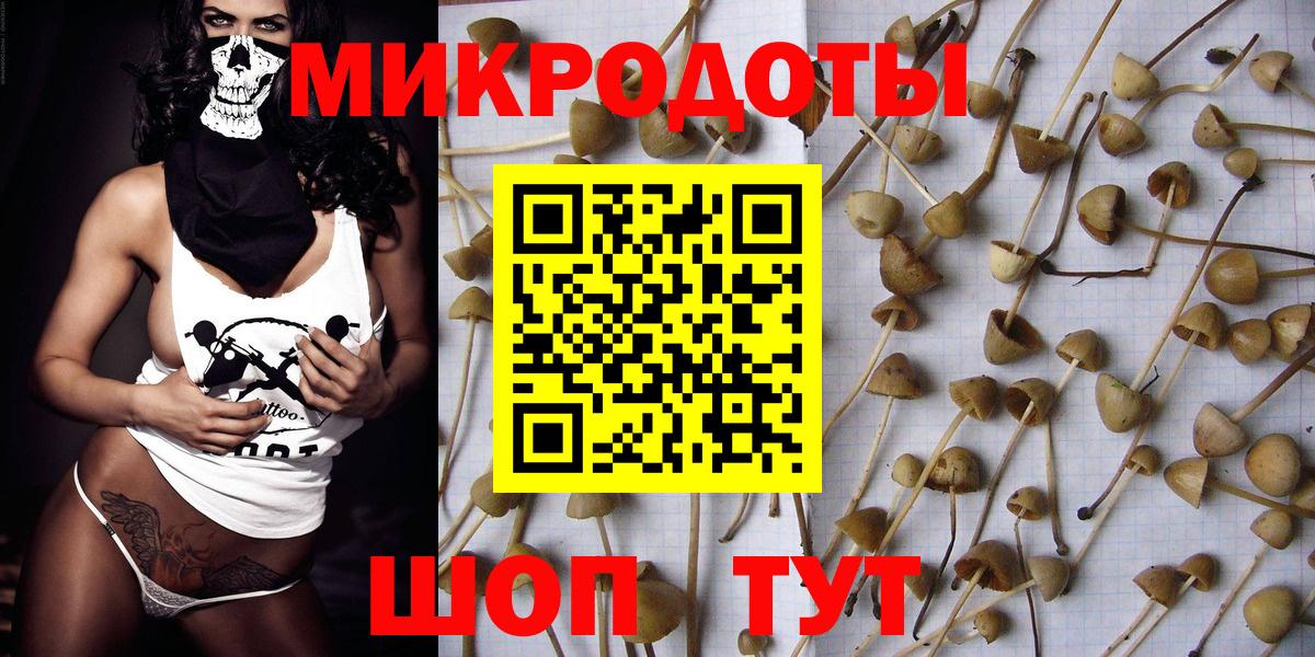 Псилоцибиновые грибы Psilocybine cubensis Октябрьский