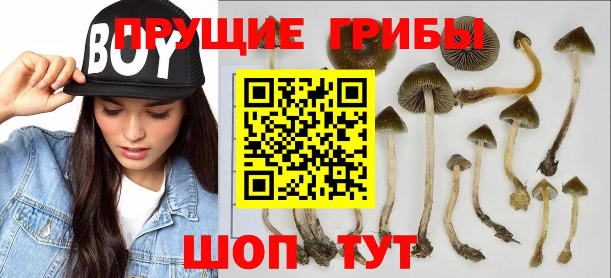 Галлюциногенные грибы мицелий  Вход с VPN  Октябрьский 